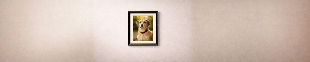 Museum-grade custom dog portrait framed in Everframe black and gold frame