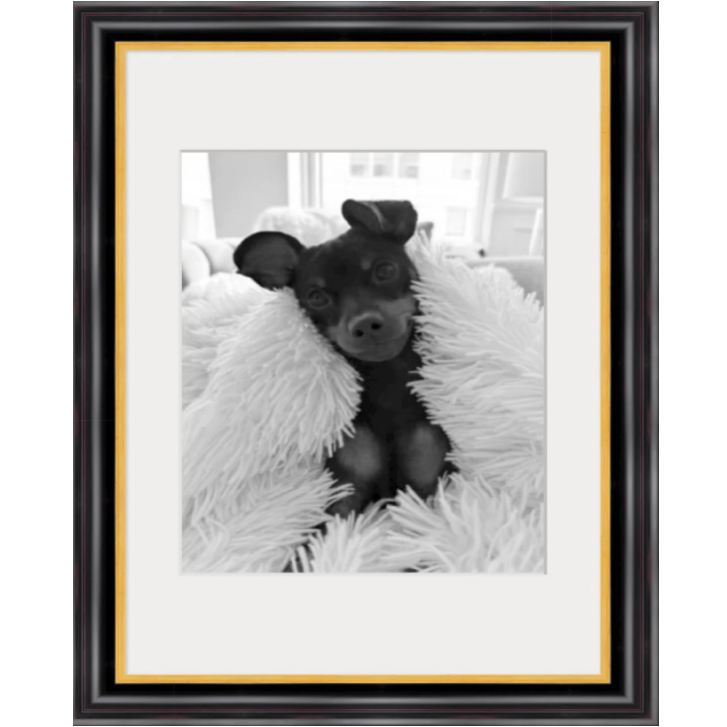 Framed black and white dog portrait wall art in black wood frame with gold liner and white mat.