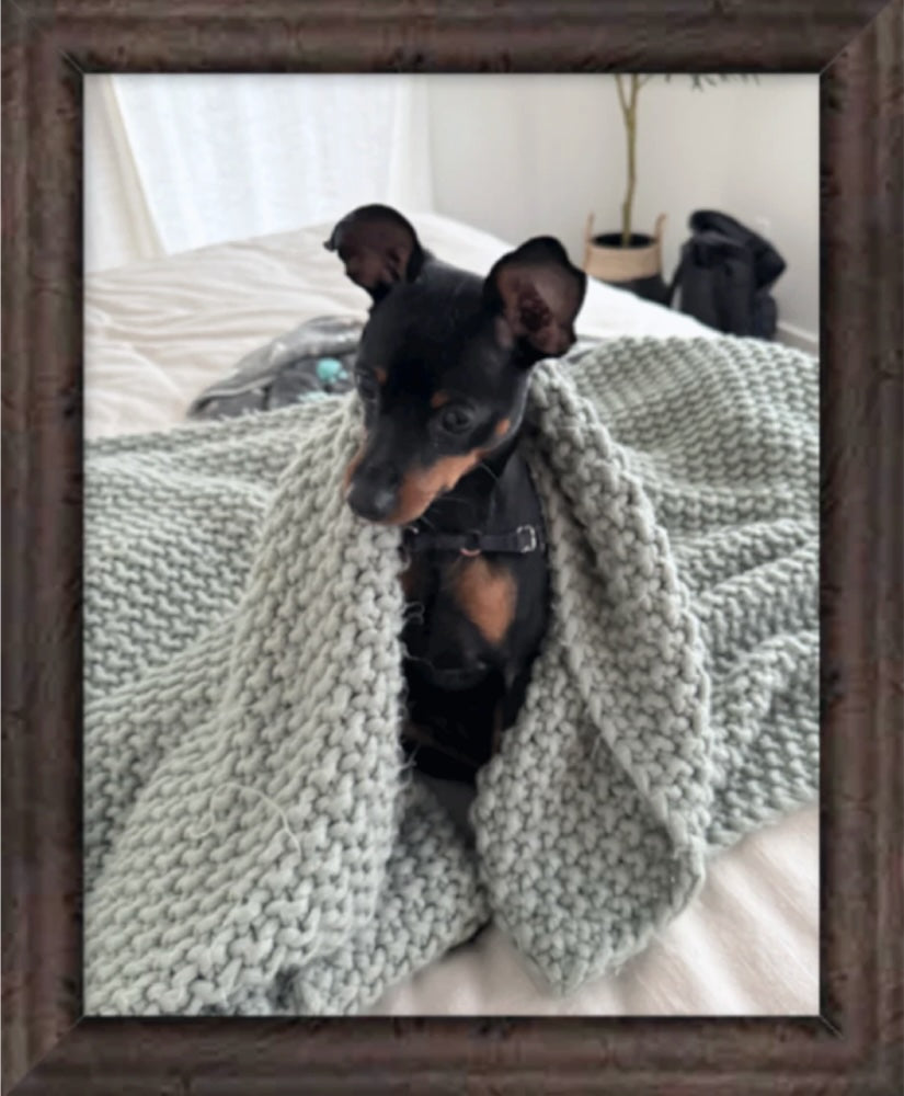 Classic – Framed Dog Portrait