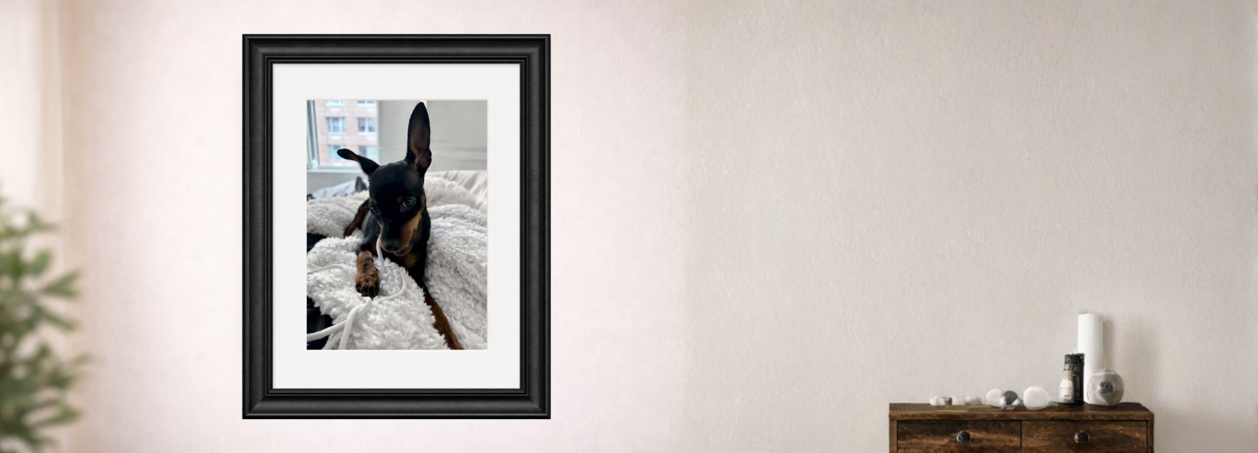 Museum-grade custom framed dog portrait by Everframe, printed on Hahnemühle Photo Rag with conservation matting and wood veneer frame.