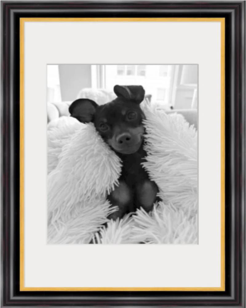 Statement – Large Framed Dog Portrait