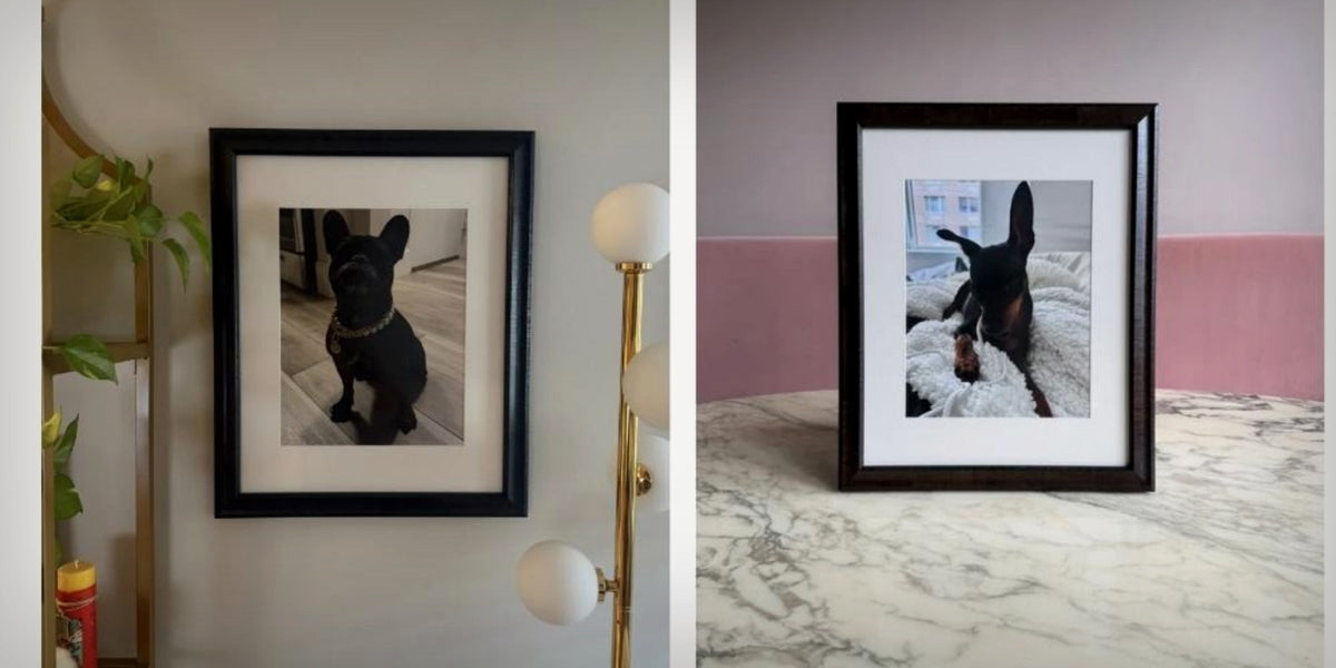 Custom framed dog portraits displayed as archival wall art, showing how to preserve pet photos for years to come