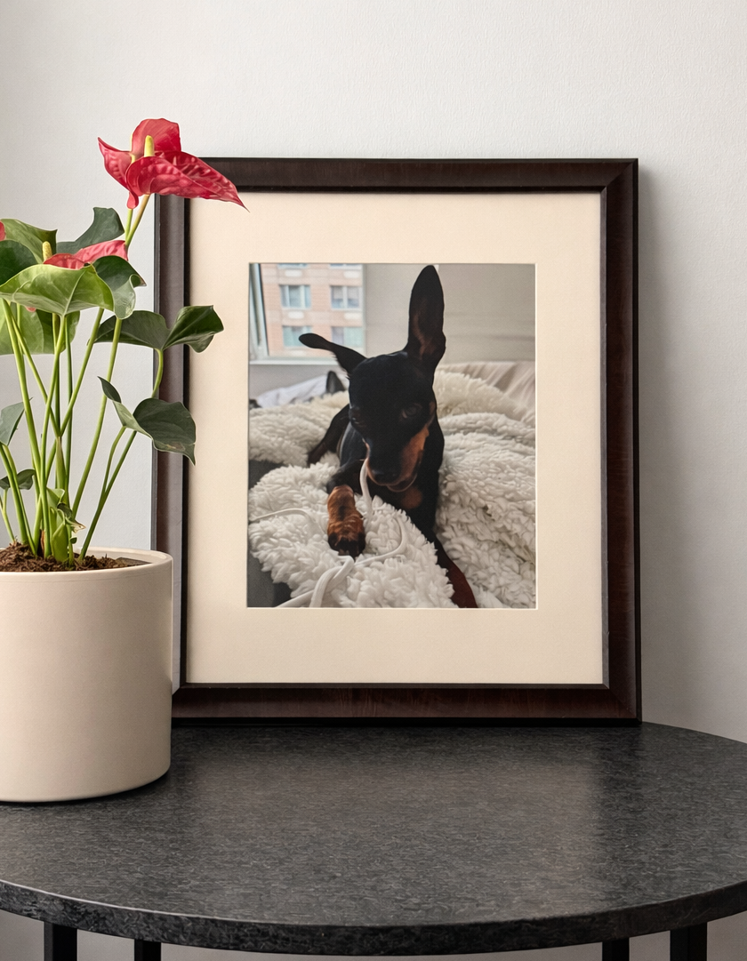 Gallery frame of a dog on a table with a plant and flower in the background