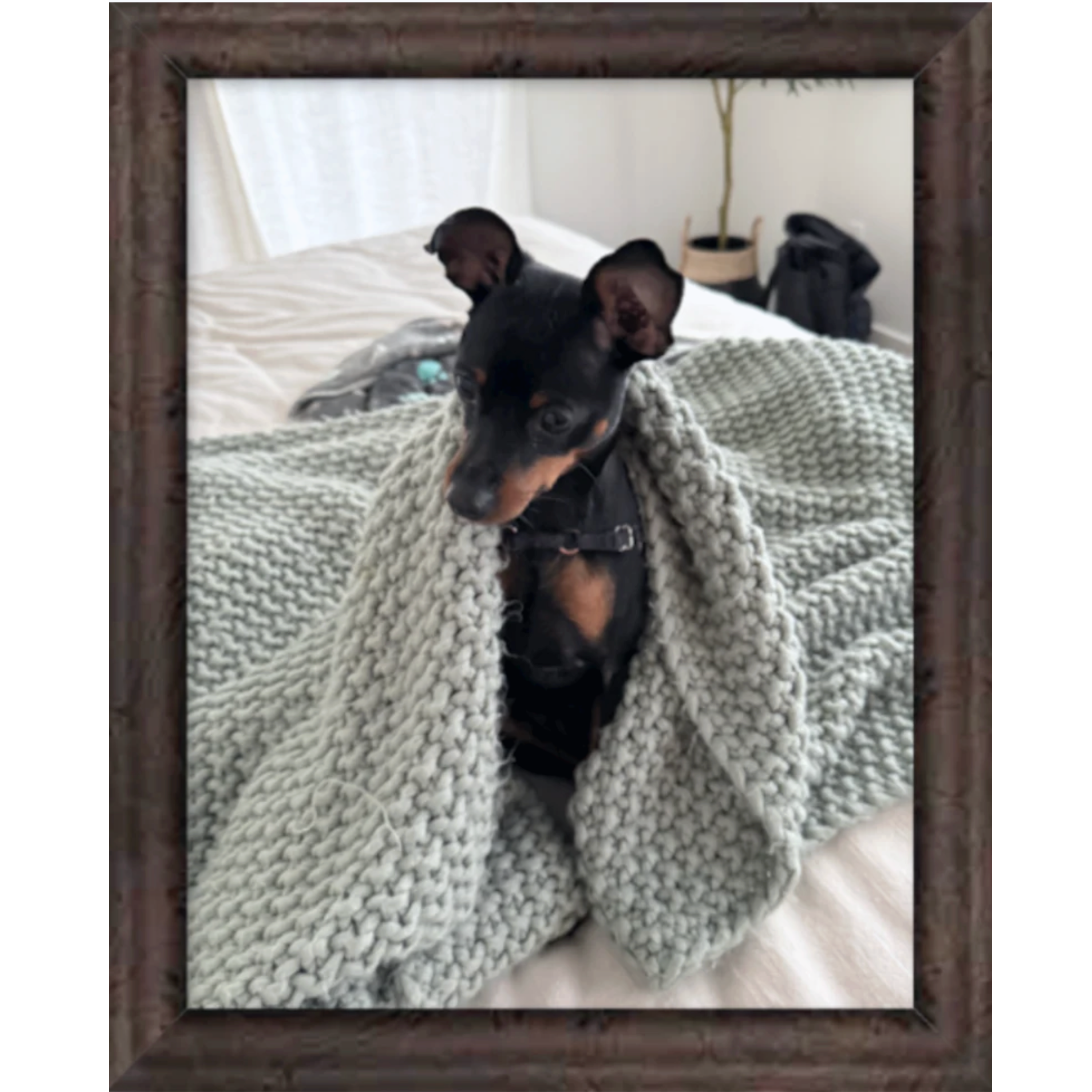 Framed vertical dog portrait in a dark wood frame with white mat.
