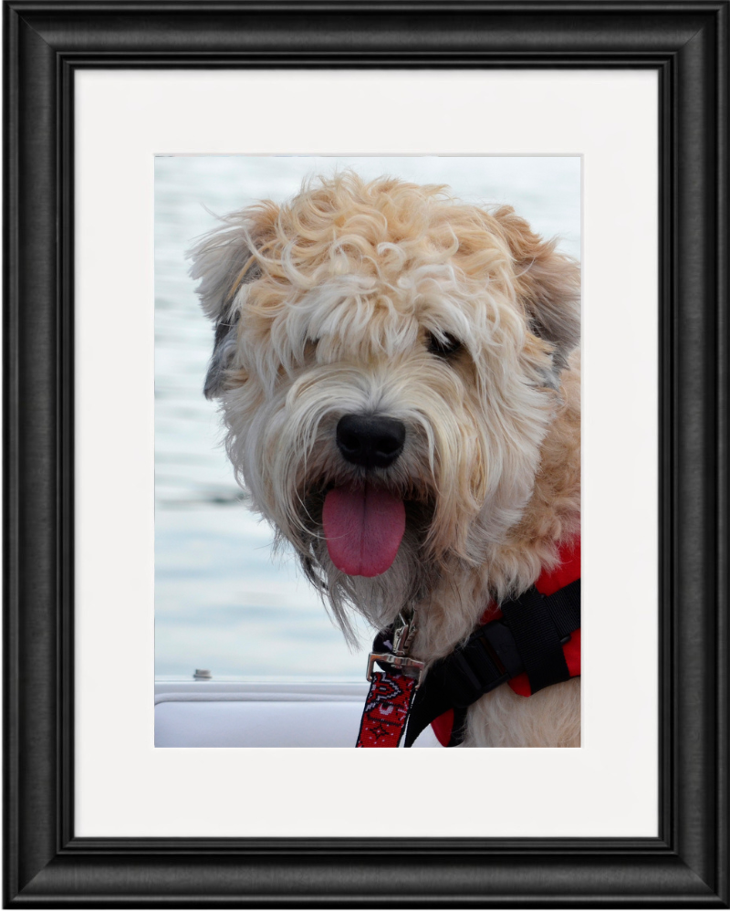 Gallery Portrait - MOST POPULAR