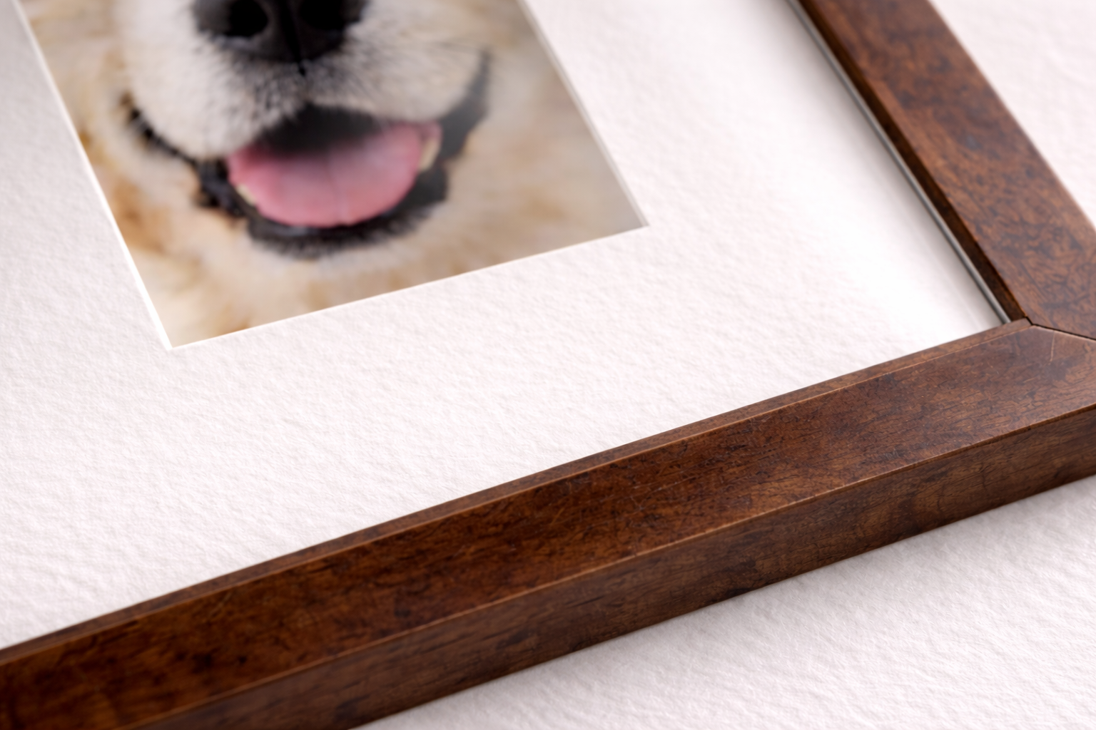 Museum-grade anti-reflective acrylic glazing with optical clarity