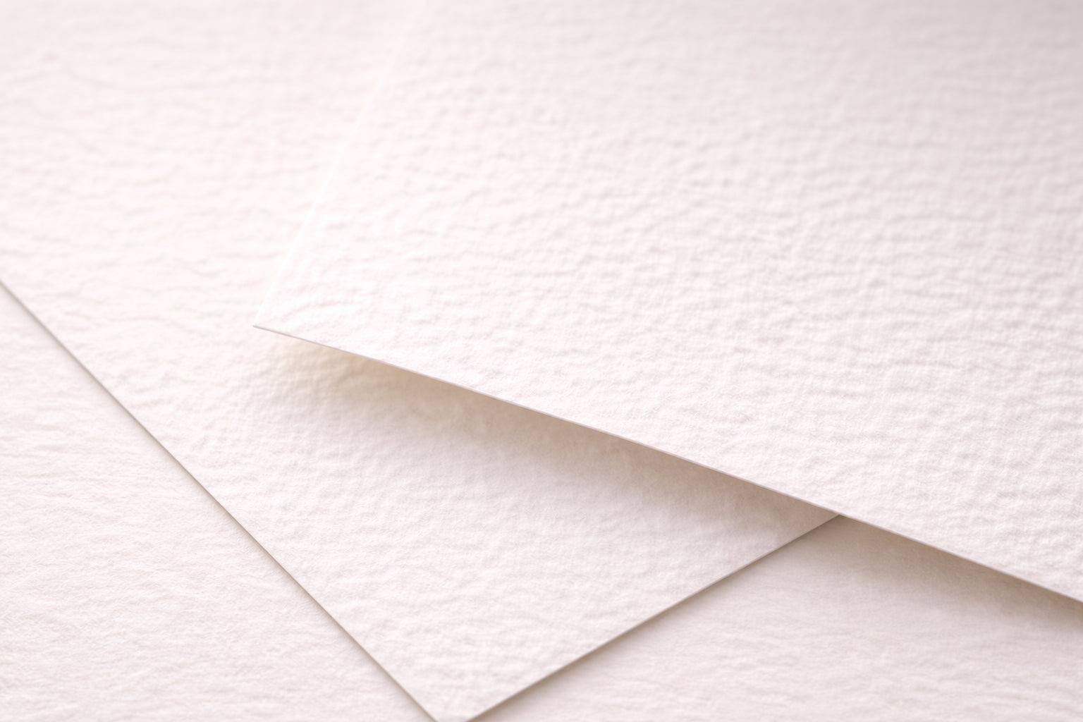 Museum-grade Hahnemühle Photo Rag paper used for custom dog portraits