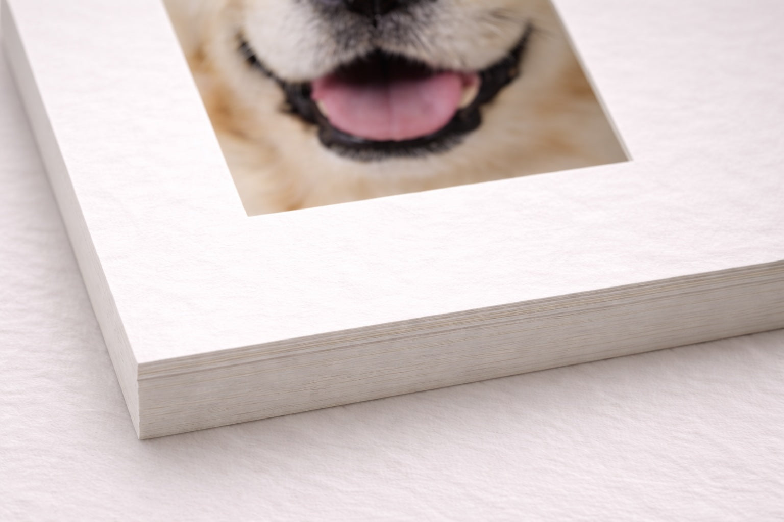 Thick conservation-grade matting for gallery-style framing